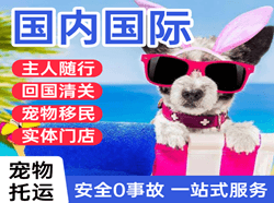 临沧博尚航空托运国际宠物托运 【国